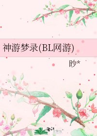 神遊夢錄(BL網遊)