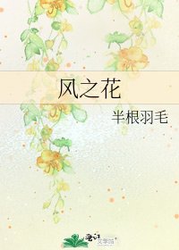 风之花