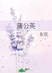 蒲公英