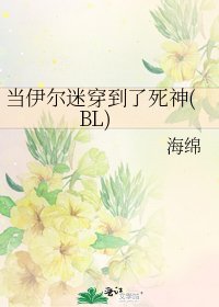 当伊尔迷穿到了死神(BL)