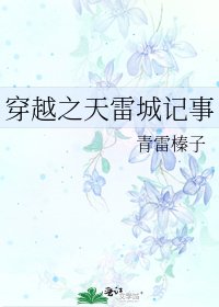 穿越之天雷城記事
