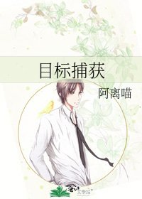 目标捕获