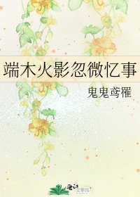 端木火影忽微忆事