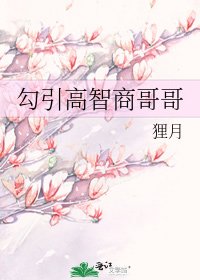 勾引高智商哥哥