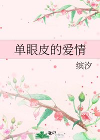 单眼皮的爱情