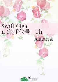 Swift Clean (杀手代号:The Cleaner)