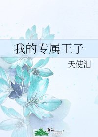 我的专属王子