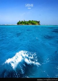 人鱼与珊瑚海