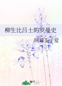 柳生比吕士的罗曼史