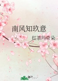 南风知玖意