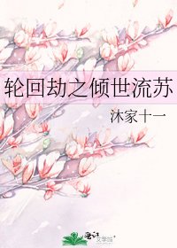 轮回劫之倾世流苏