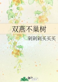 雙燕不巢樹