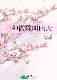一种微酸叫暗恋