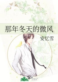那年冬天的微风