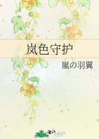 《岚色守护》