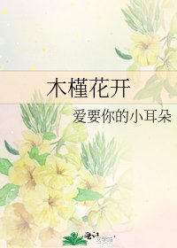 木槿花開