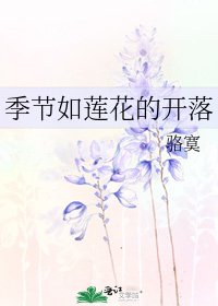 季节如莲花的开落
