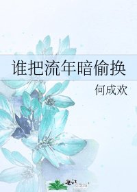 谁把流年暗偷换