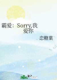 霸爱:Sorry,我爱你
