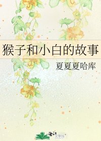 猴子和小白的故事