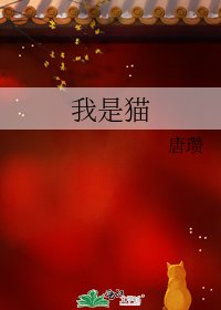 我是猫