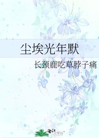 尘埃光年默