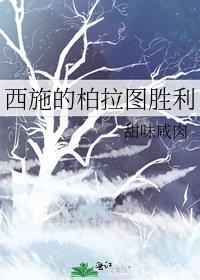 西施的柏拉图胜利