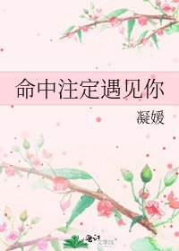 命中注定遇见你