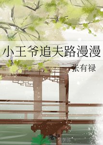 小王爷追夫路漫漫