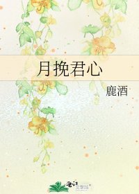 月挽君心