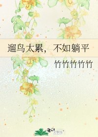 遛鸟太累,不如躺平