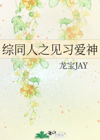 综同人之见习爱神