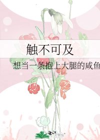触不可及