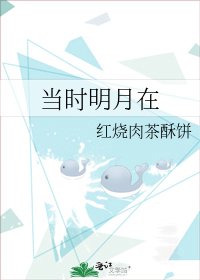 当时明月在