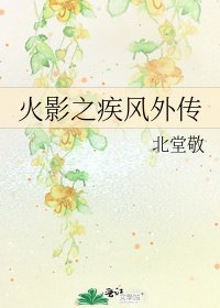 火影之疾风外传
