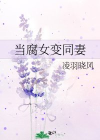 当腐女变同妻