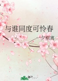 与谁同度可怜春