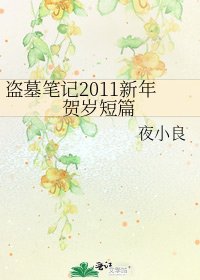 盗墓笔记2011新年贺岁短篇