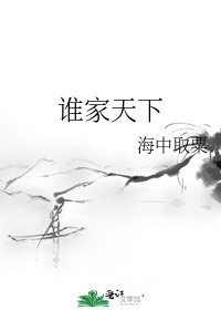 谁家天下