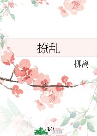 撩乱