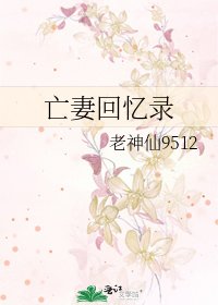 亡妻回忆录