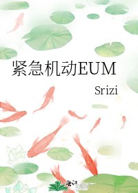 紧急机动EUM
