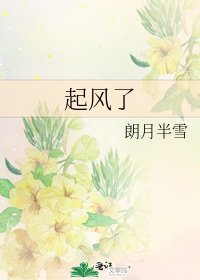 起风了