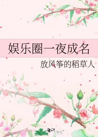 娛樂圈一夜成名