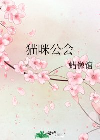 猫咪公会