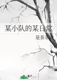 某小队的某日常
