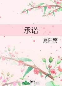 承诺