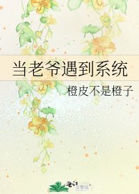 当老爷遇到系统