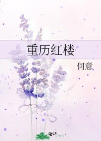 重历红楼