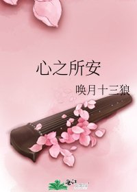 心之所安